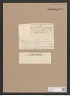 Gomphonema antarcticum O'Meara (de-Toni-Nr.: Genus 37, Species 1755) Zeichnungen Sammlung Grunow Nr. 3495 (NHMW-BOT-W0371053)